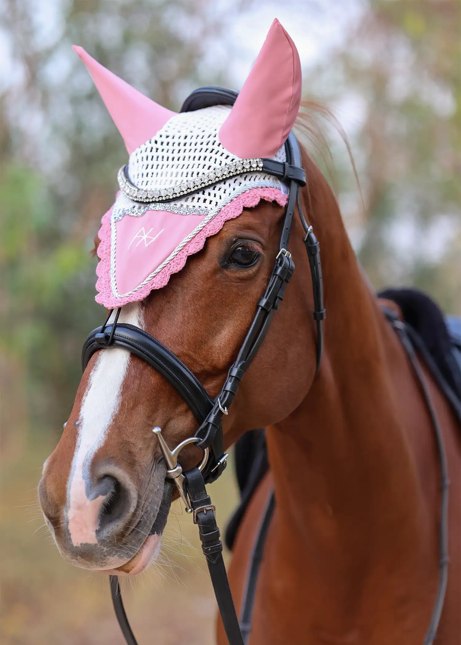 Earbonnet_AshRose_On-Horse_01