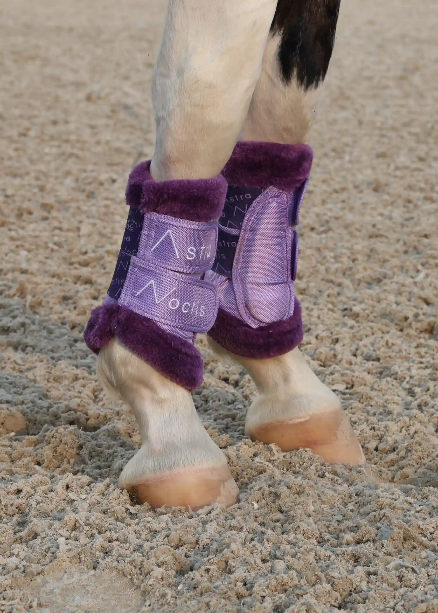 Lavender_Brush_Boots_Front_outdoor